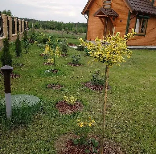 Lavender Alpstuga Charzykowy