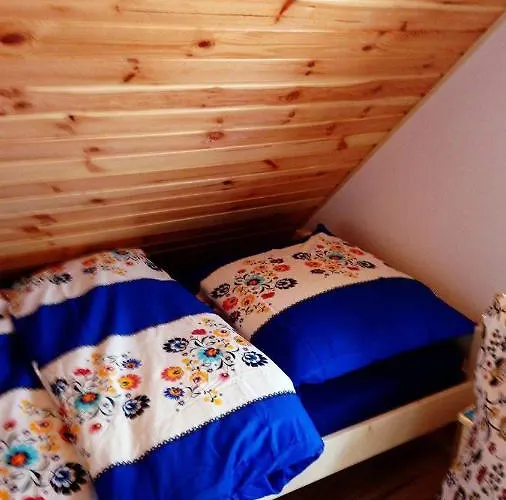 Lavender * Charzykowy